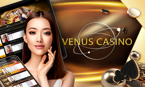 5550 bet 77bet cassino Terminal móvel