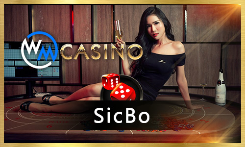5550 bet bet esport cassino livre