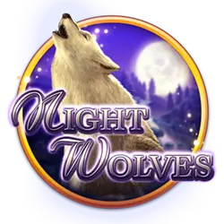 5550 bet 8 cassino Jogos